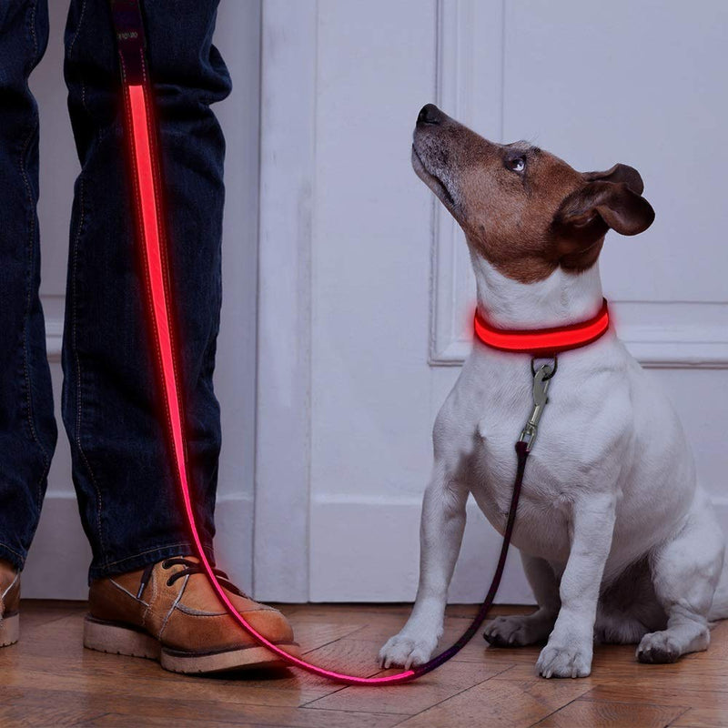 HOTDOG Dog Lead/Leash for all weather types, year round, Nylon lead with LED light, USB Rechargeable, Make your Dog more visible and seen! Super Bright Lead. Red - PawsPlanet Australia