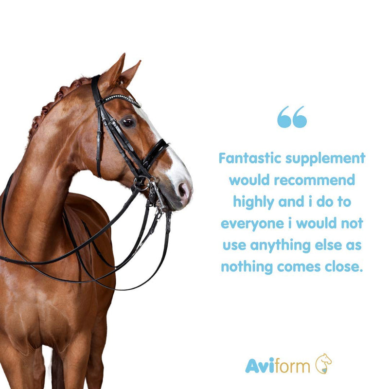 Aviform Suppleaze Ultraflex (1Kg) 1Kg - PawsPlanet Australia