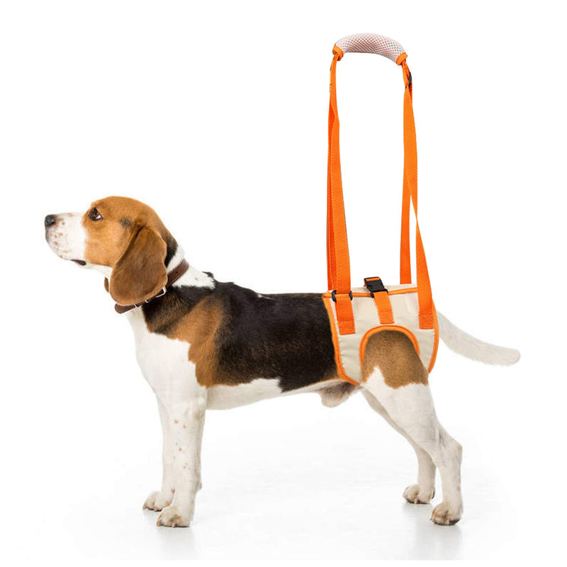 ROZKITCH Dog Lift Harness, Pet Rear Support Aid Veterinarian Approved Sling for Old K9 Help with Poor Stability, Back Leg Hip Disabled Joint Injury Elderly and Arthritis ACL Rehabilitation Rehab Small - PawsPlanet Australia