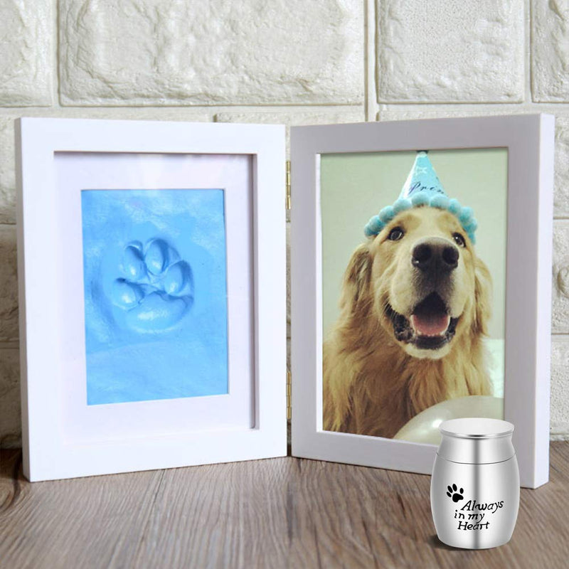 Small Cremation Urn for Pet Ashes Mini Pet Paw Keepsake Urn Stainless Steel Memorial Keepsake Urns for Dogs Cats Ashes Holder Silver-always in my heart Non-customize - PawsPlanet Australia