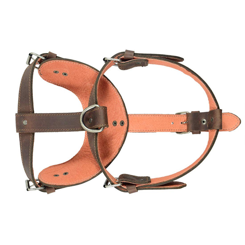 [Australia] - Hide & Drink, Thick Leather Adjustable Dog Harness, No-Pull Pet Harness, Outdoor Pet Vest, Handmade Includes 101 Year Warranty :: Bourbon Brown 