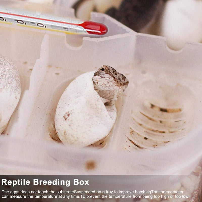 Reptile Egg Breeding Hatchery Box Transparent Plastic Amphibian Hatching Box Case Tray Breeding Incubator Hatching Tray for Snake Lizards Reptiles with Thermometer - PawsPlanet Australia