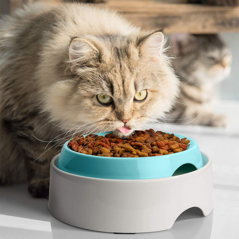 [Australia] - CatGuru Premium Whisker Stress Free Cat Food Bowls, Cat Food Dish. Provides Whisker Stress Relief and Prevents Overfeeding! (Round - Set of 2 Bowls, Aruba) Set Of Two 