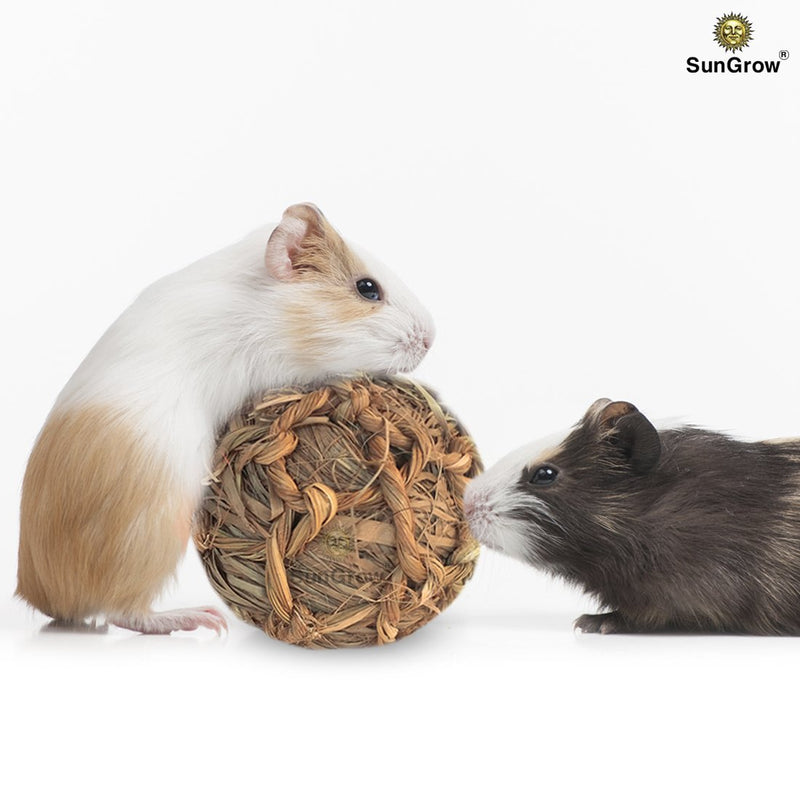 [Australia] - SunGrow Natural Seagrass Ball - Perfect & Safe Chewable Teething Toy for Rabbits, Cats, Hamsters, Gerbils & Birds : Healthy for Your Pet’s Gums & Teeth 