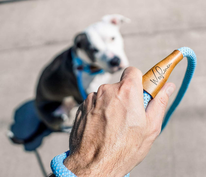 [Australia] - Wooflinen Ultra Reflective Premium Dog Slip Leash Made from Mountain Climbing Rope - Great for Training and The Strongest Pullers 6 Foot Woof Blue 