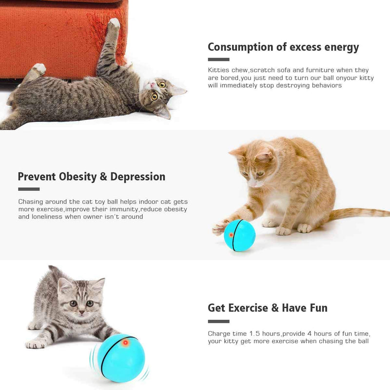 Interactive Cat Toys Ball with LED Light, 360 Degree Self Auto Rotating Intelligent Ball, Smart USB Rechargeable Spinning Cat Ball Toy,Stimulate Hunting Instinct Kitten Funny Chaser Roller Pet Toy Blue - PawsPlanet Australia