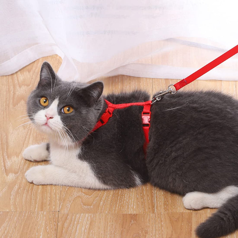 Pack of 2 adjustable rabbit harnesses, rabbit harnesses with leash, suitable for small animals such as rabbits, kittens, dogs, guinea pigs (blue + red) - PawsPlanet Australia