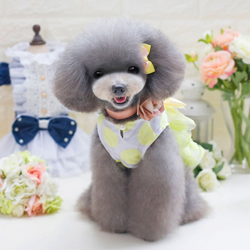 [Australia] - SMALLLEE_LUCKY_STORE YP0223-L Small Dog Sexy Party with Bow tie Princess Tutu Dog/Cat Clothes, Large, Blue Yellow 