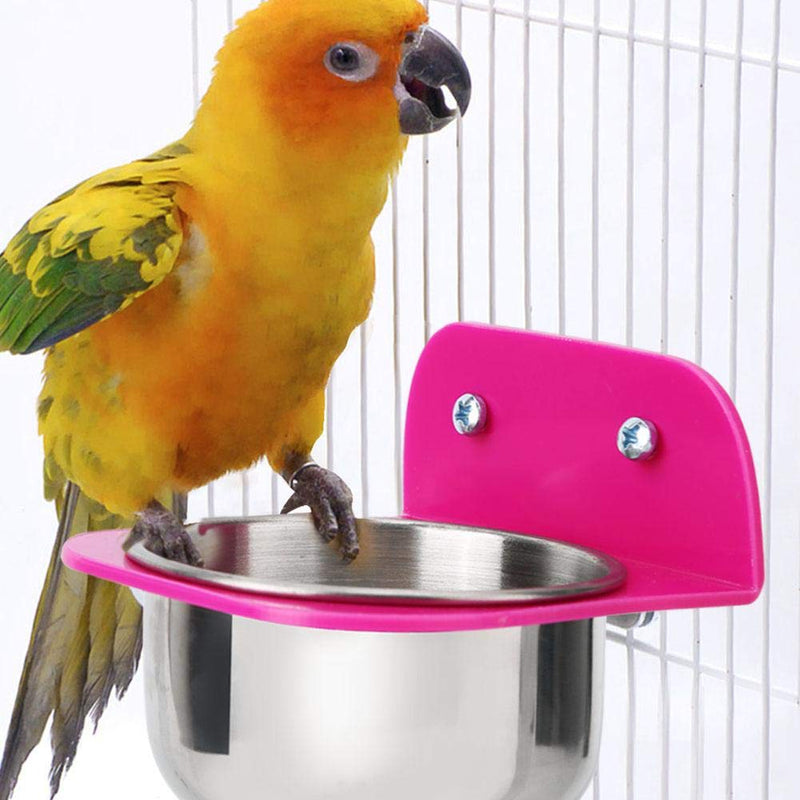 Bird Cage Feeder, Stainless Steel Food Water Bowls with plastic holder Parrot Feeding Bowls Cup for Macaw African Greys Budgies Parakeet Cockatiels Conure Lovebird Finch(Red) Red - PawsPlanet Australia