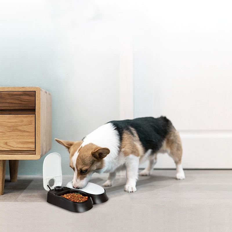 PAWISE 2 Meal Automatic Dog Feeder for Dogs and Cats, Food Dispenser Station with Timer, 48-Hour, 1.5 Cups 1.5 Cup-Double - PawsPlanet Australia