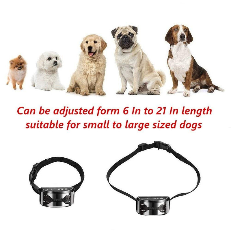 [Australia] - DTLake Bark Collar Small Dog for Medium Dogs Large beep Sound Ultrasound Harmless Shock with USB Rechargeable Dog Bark Collar Safe Control Device (Black) 