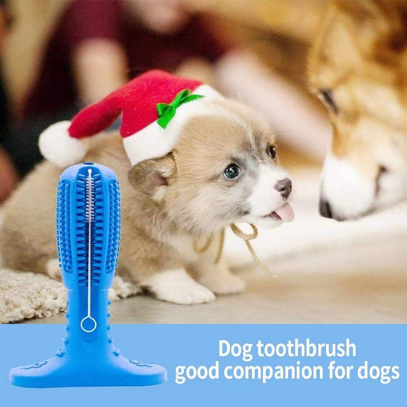 Happy Fox Dog Toothbrush Sticks, Durable Natural Rubber Dog toothbrushing Sticks to Prevent Tooth Bites, Teeth Cleaning Chews for Medium and Large Dogs, Dog Teeth Cleaning Massager (Green) Blue - PawsPlanet Australia