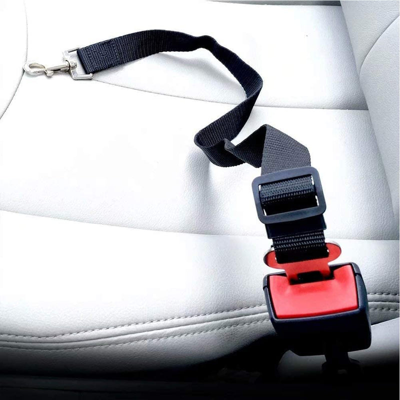 Dog belt for car, seat belt dog car, dog adjustable seat belt, seat belt cat car, dog belt for car small dogs, dog seat belt, adjustable dog belt black - PawsPlanet Australia