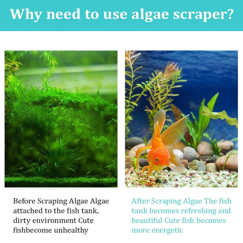 [Australia] - ZRDR Stainless Steel Algae Scraper Aquarium Cleaning Tool for Glass Aquariums, Including Algae Scraper, Sponge Pad, Fish Net, Cleaning Brush, Adjustable Length, Durable, Does Not Hurt The Fish Tank 