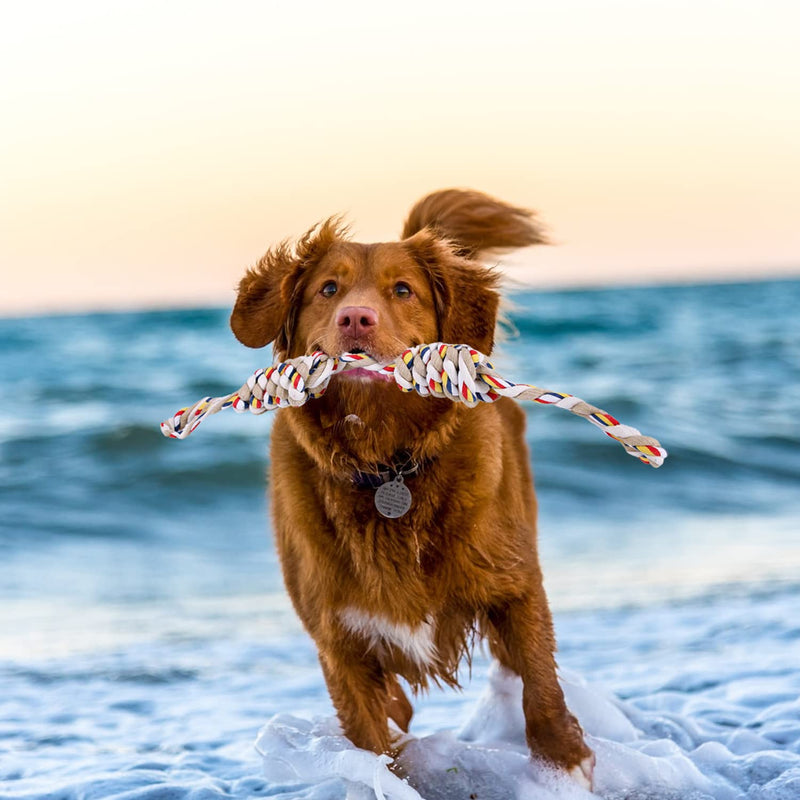 Dog Rope Toys Large, XL 24inch Rope Toys for Strong Large Dogs, Durable Dog Chew Toy for Aggressive Chewers of War, Interactive Rope Chew Toys for Medium Large Dog Breeds Teeth Cleaning - PawsPlanet Australia