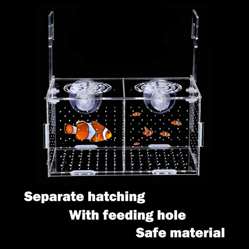 Fish Breeding Box, Acrylic Breeder Isolation Box Aquarium Fish Tank Hatchery Incubator with Suction Cups for Baby Fishes Shrimp Clownfish Guppy - PawsPlanet Australia