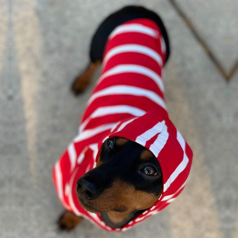 [Australia] - DJANGO Dog Hoodie and Super Soft and Stretchy Sweater with Elastic Waistband and Leash Portal Small Red 