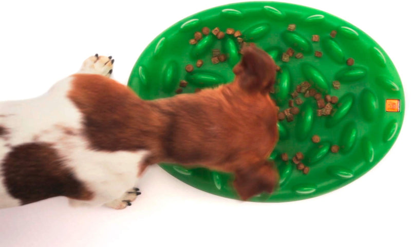 Karlie Northmate Green Mini Anti-Gluttony Feeding Dish for Dog Green 29 x 22.5 x 7 cm - PawsPlanet Australia