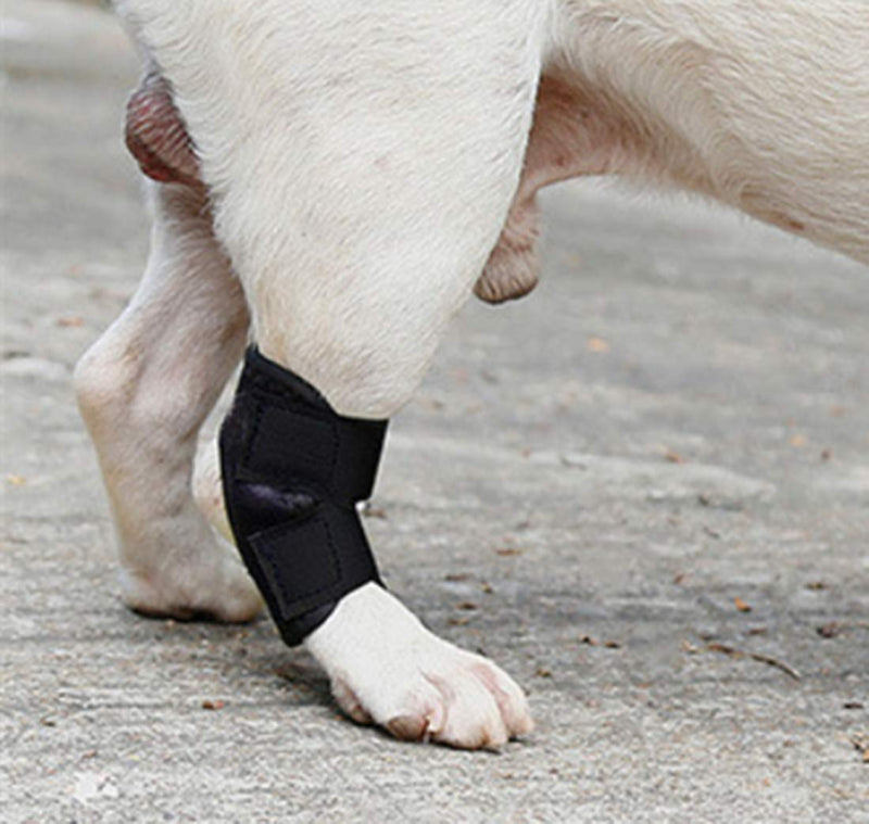 WXFEXIA Dog Rear Leg Hock Brace - Canine Wrap Protects Wounds Heal and Sprains Support Due to Arthritis to Prevents Injuries and Sprains or Walking (1 Pair, S) - PawsPlanet Australia