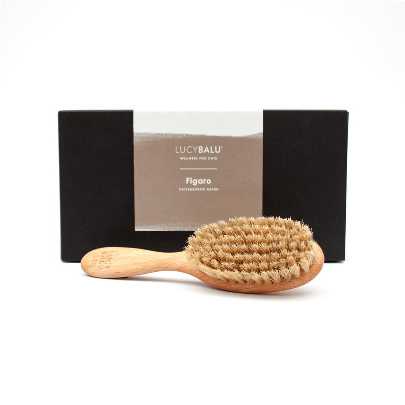 LucyBalu® cat brush for short hair & long hair | Fur brush for cats| Cat comb for grooming cats | Pet Hair Brush for Cats| Cat hair brush with natural bristles & wooden handle | oiled nature - PawsPlanet Australia