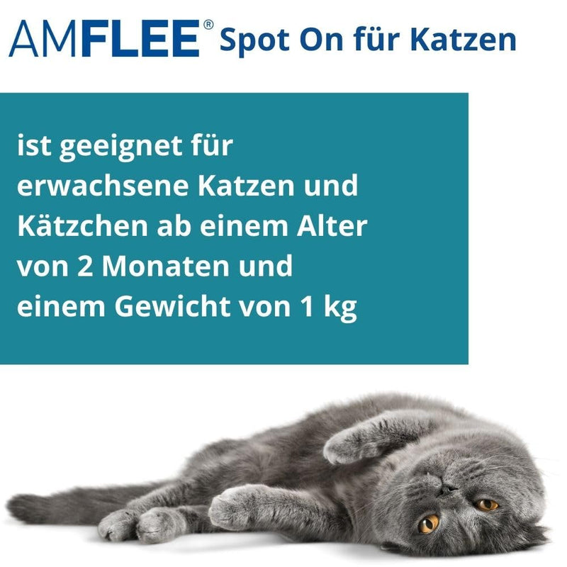 Amflee Spot On for Cats Against Fleas & Ticks, Fipronil, 50 mg spot-on solution, with 3 single-dose pipettes - PawsPlanet Australia