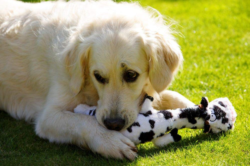 Petface Farmyard Buddies Lazy Moo Dog Toy - PawsPlanet Australia