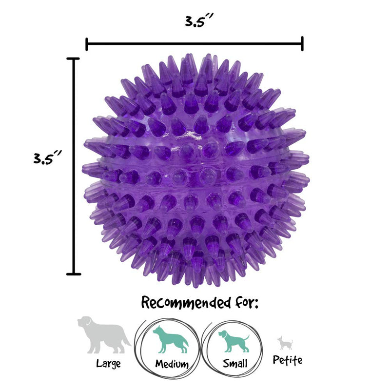 [Australia] - Gnawsome Medium Squeaker Ball Dog Toy, Medium 3.5", Colors will vary 