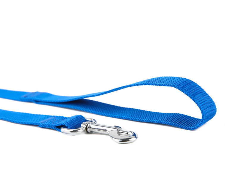 [Australia] - Strong Durable Nylon Dog Leash, for Medium Large Dogs Walking, Training or Exploring, 10 feet Long 1 inch Wide Blue 