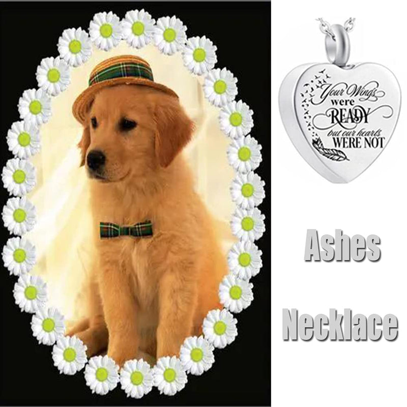 NA Heart Cremation Jewellery Ashes Urn Necklace Stainless Steel Cremation Pendant Memorial Cremation Jewelry for Dogs Cats Ashes - PawsPlanet Australia