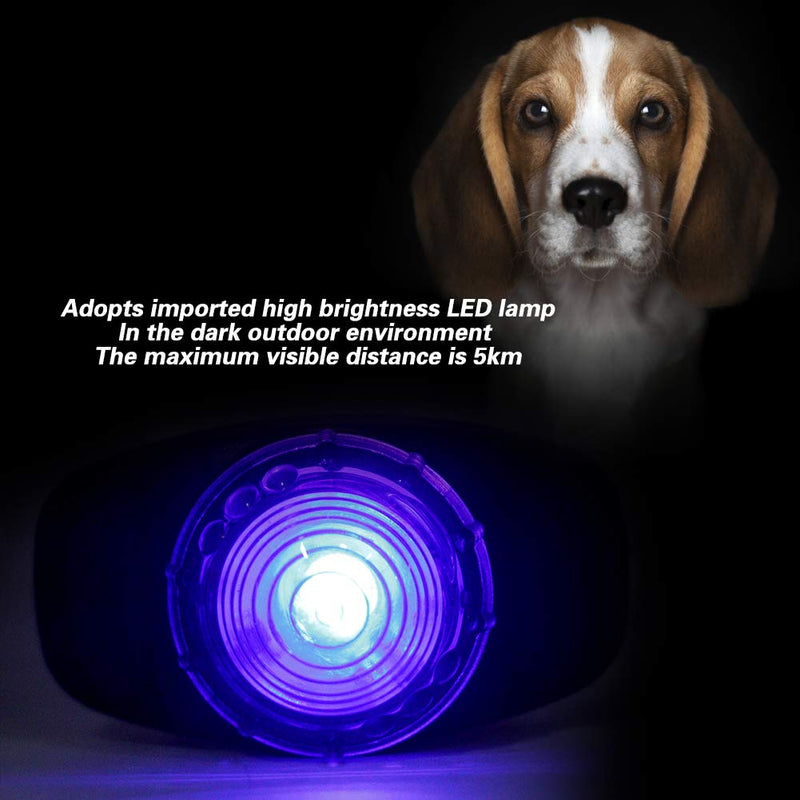 Glowing Dog Collar, Anti Lost LED Luminous Pendant LED Safety Dog Collars for Night Safety Walking 6x3.5x3.5cm(Battery Not Included)(Blue) Blue - PawsPlanet Australia