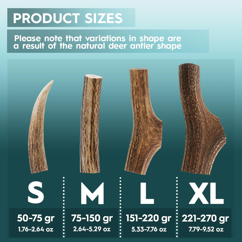 AmeizPet Antlers for dogs, natural, durable dog chew bone, deer chew bone for the dog, deer antler, long-lasting - 1 piece M size M size 1 pc - PawsPlanet Australia