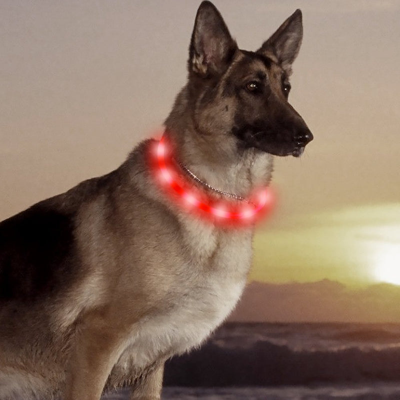 [Australia] - HiGuard LED Dog Collar, USB Rechargeable Glowing Pet Safety Collars, Adjustable Water-Resistant Flashing Light Up Necklace Collar Make Your Dogs High Visible & Safe in the Dark (1 Pack-Red) 