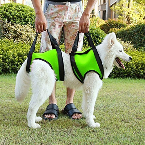 Da Jia Inc Dog Lift Rehabilitation Support Harness Assist for Elderly Disable Joints Surgery(Green,28-35Kg) 28-35Kg/61.6-77LB Green - PawsPlanet Australia