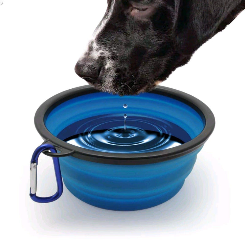 Collapsible Bowl Food & Water Feeder with Climbing Button Carabiner for Outdoor Travel, Portable folding Pet Dog Cat bowl 6 colours (Blue) Blue - PawsPlanet Australia