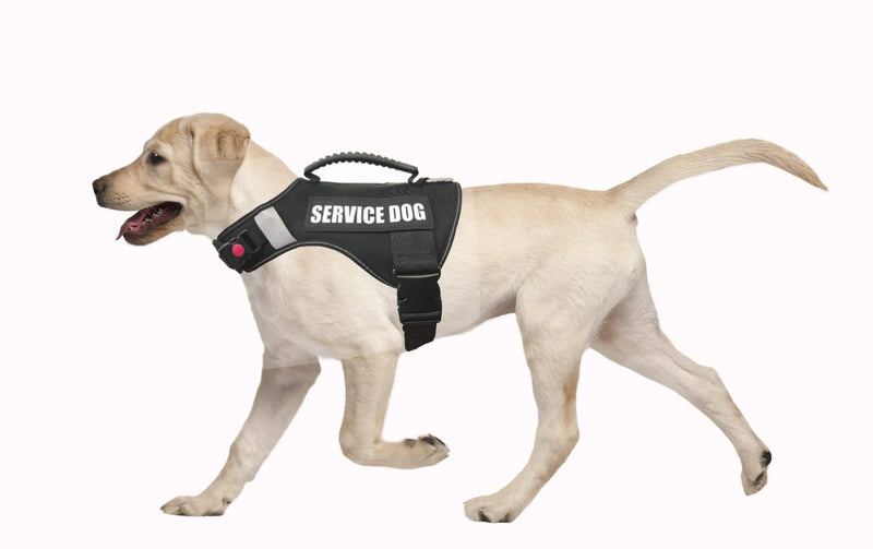 [Australia] - Dihapet No Pull Dog Harness, Service Dog Vest, Adjustable Reflective in Training Dog Vest XL Chest 29-41in Black 