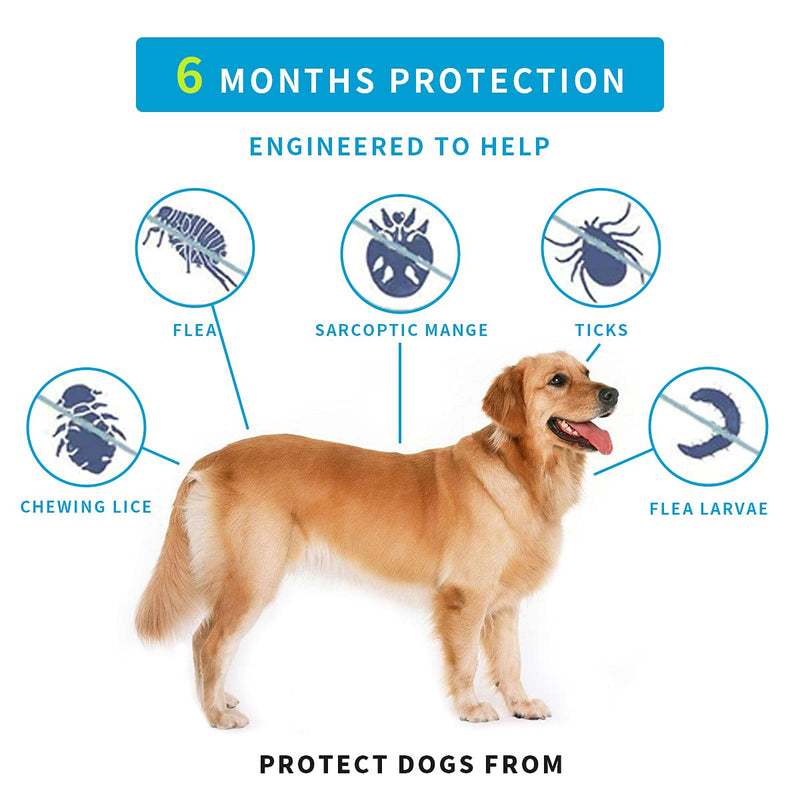 Flea and Tick Collar for Dogs, One Size Fits All, 27 inch,Safe and Effective Repels Fleas and Ticks, 6 Month Protection（1 Pack） 1 pack - PawsPlanet Australia