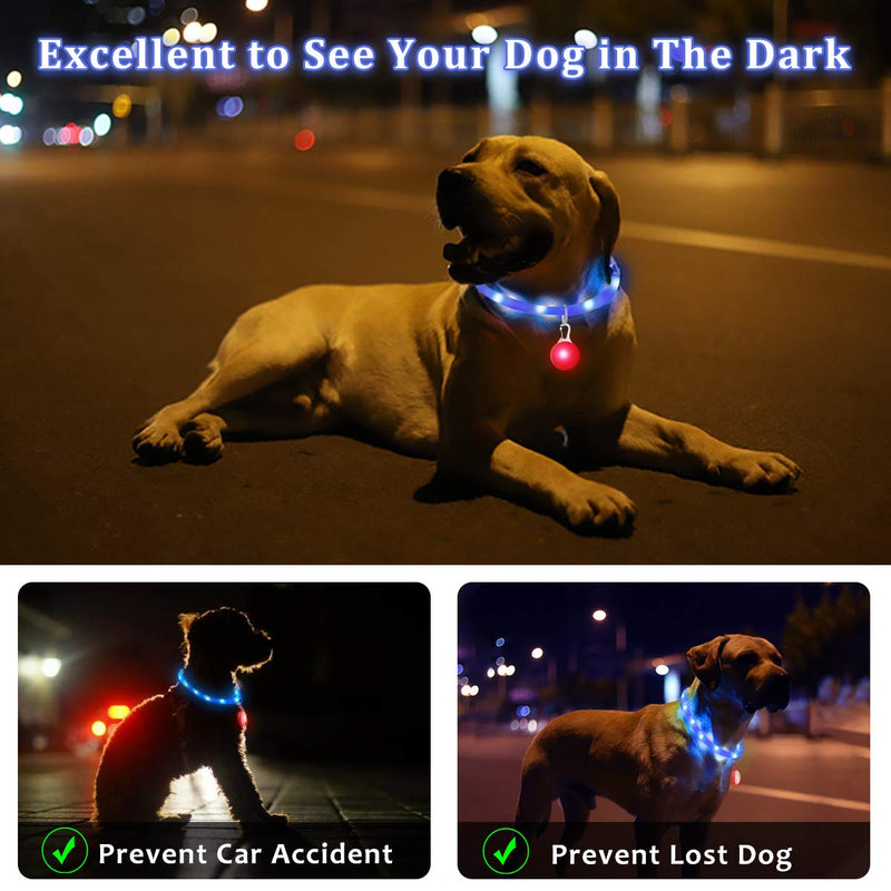 LED Dog Collar Light USB Rechargeable, Silicone Flashing Dog Collar Lights With Clip On Pendant For The Dark, Adjustable Cut To Size, For Small Medium Large Dogs, Blue - PawsPlanet Australia