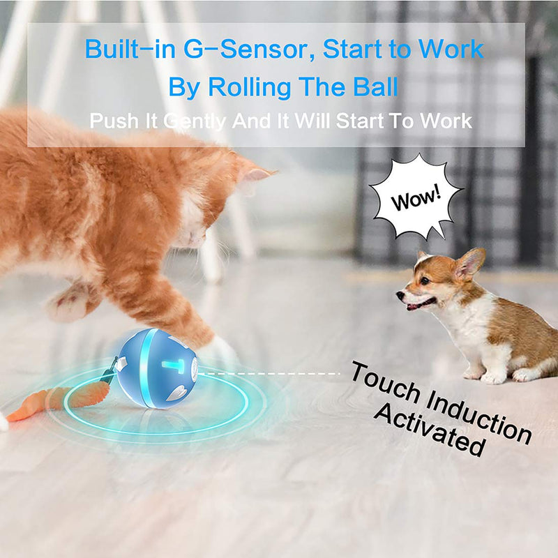 PetDroid Interactive Dog/Cats Ball Toys,Durable Motion Activated Automatic Rolling Ball Toys for Puppy/Small/Medium Dogs,USB Rechargeable (Dog/Cat Ball Toy) - PawsPlanet Australia