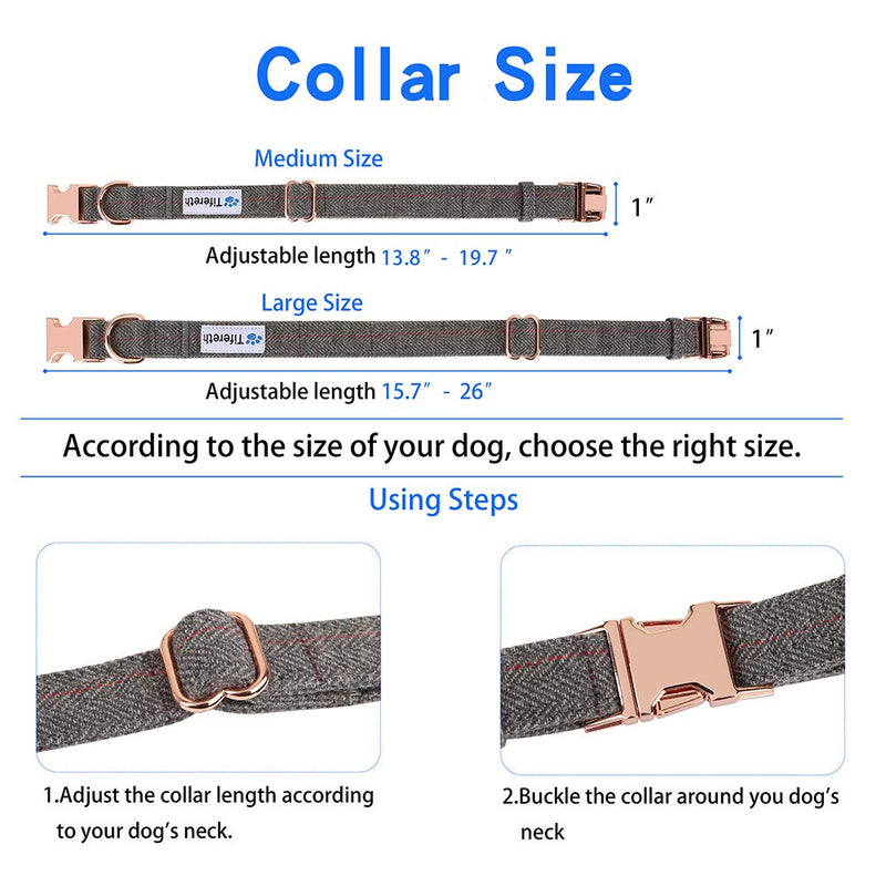 [Australia] - Medium-Large Big-Female Heavy-Duty Dog-Collar Leash-Set - Rose Gold 6 Foot Exceptionally Elegant Design and Adjustable in 3 Different Lengths for Medium to Large Dogs M ( 13.8''-19.7'' ) Grey 