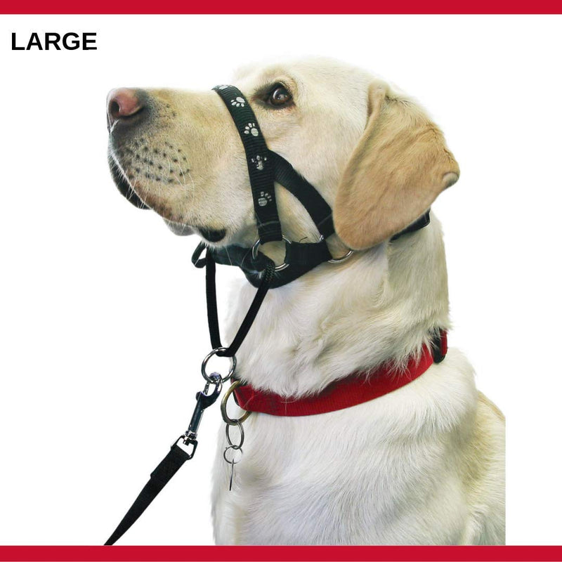 Mikki Dog, Puppy Harness - Walk-Ease Headcollar -Anti Pull No More Pulling, Tugging, Choking -Large Large - PawsPlanet Australia