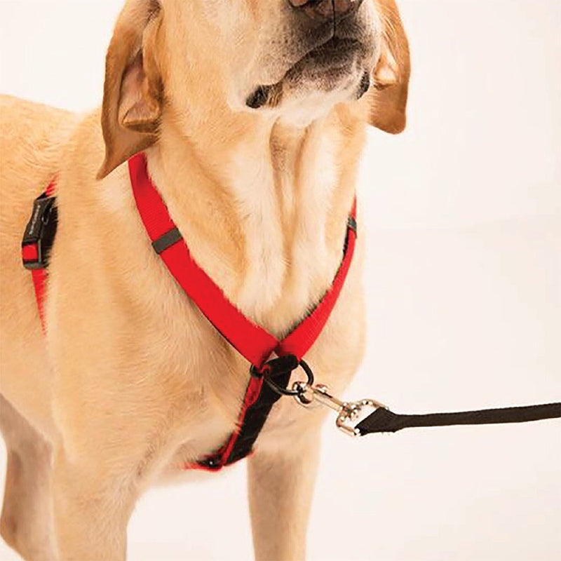 [Australia] - Dog Harness - Non-Pull No-Choke Humane Adjustable Reflective Dog Training Harness, Non Pulling Pet Harness, Easy Step-in Adjustable Harness for Control Large Red 