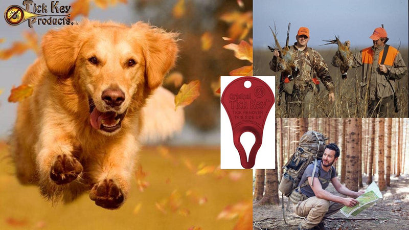 The Original Tick Key -Tick Detaching Device - Portable, Safe and Highly Effective Tick Detaching Tool (Red) - PawsPlanet Australia