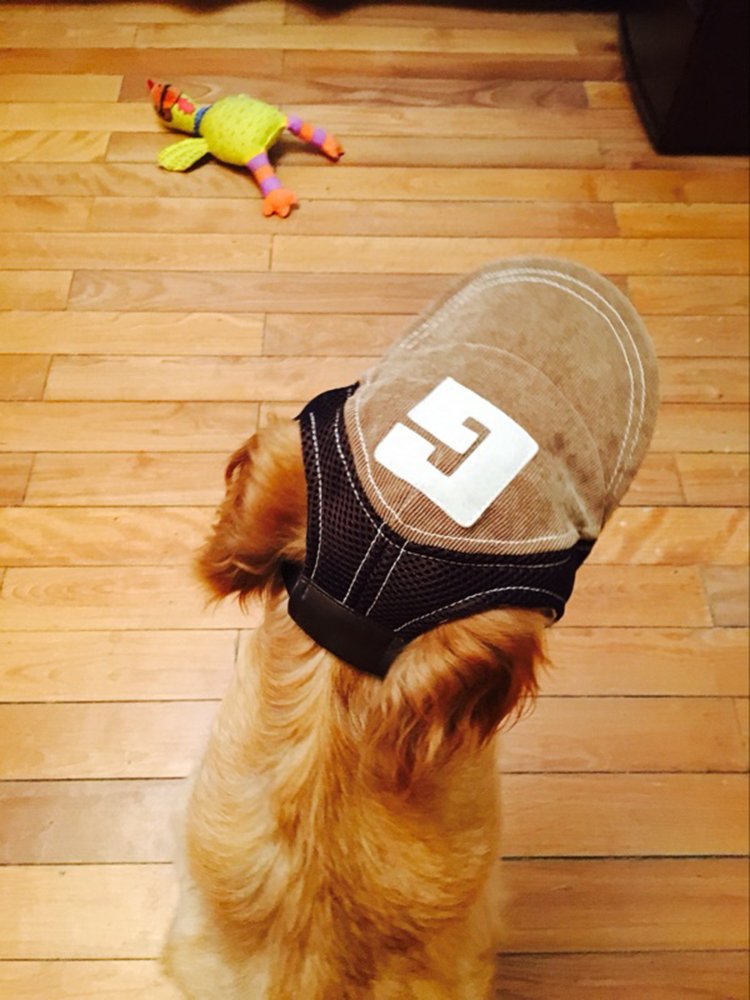 Pet Dog Baseball Cap Sport Cap Hat - Outdoor Hat Sun Protection Summer Cap for Small Medium Large Dog (Small Cap, Brown) - PawsPlanet Australia