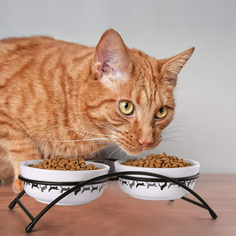 [Australia] - Y YHY Ceramic Raised Pet Cat Bowls, 12 Ounces Elevated Food or Water Bowls, Double Cat Dishes, Gift for Cat, White 