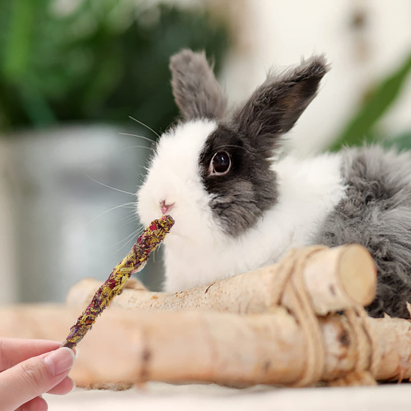DAMPET Bunny Toys, Rabbit Toys, Bunny Toys for Rabbits, Bunny Chew Toys for Teeth, Timothy Hay Sticks Chew Treats and Balls for Rabbit, Bunny, Chinchilla, Guinea Pig, Hamster (Style 1) style 1 - PawsPlanet Australia