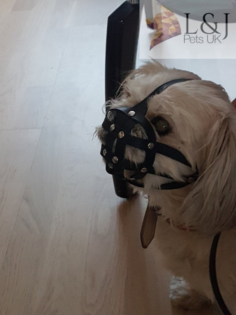 L&J Pets Uk Dog Muzzle for Shih Tzu, Pug and other flat face short snout dog's (M2, Black) - PawsPlanet Australia