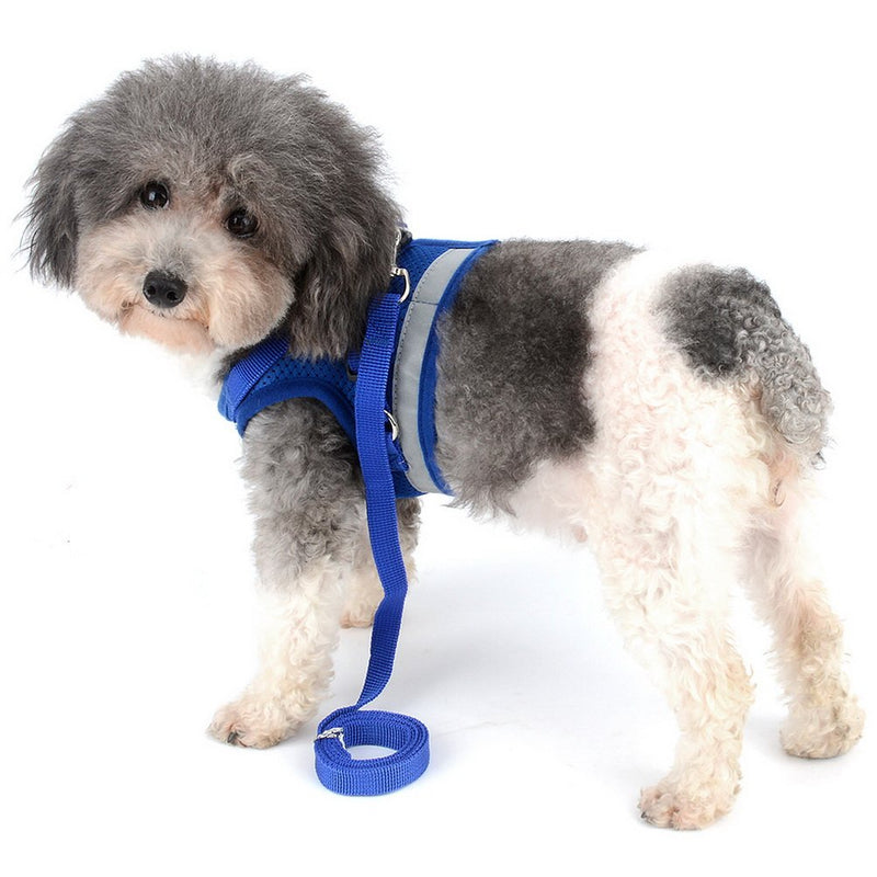 [Australia] - Zunea Small Dog Harness Leash Set No Pull Reflective Adjustable Step-in Soft Mesh Padded Puppy Vest Harness Leads, Cat Harness Escape Proof for Walking, for Girl Boy Pet Dogs Kittens L (Chest:17.5", for 11-15lbs) Blue 
