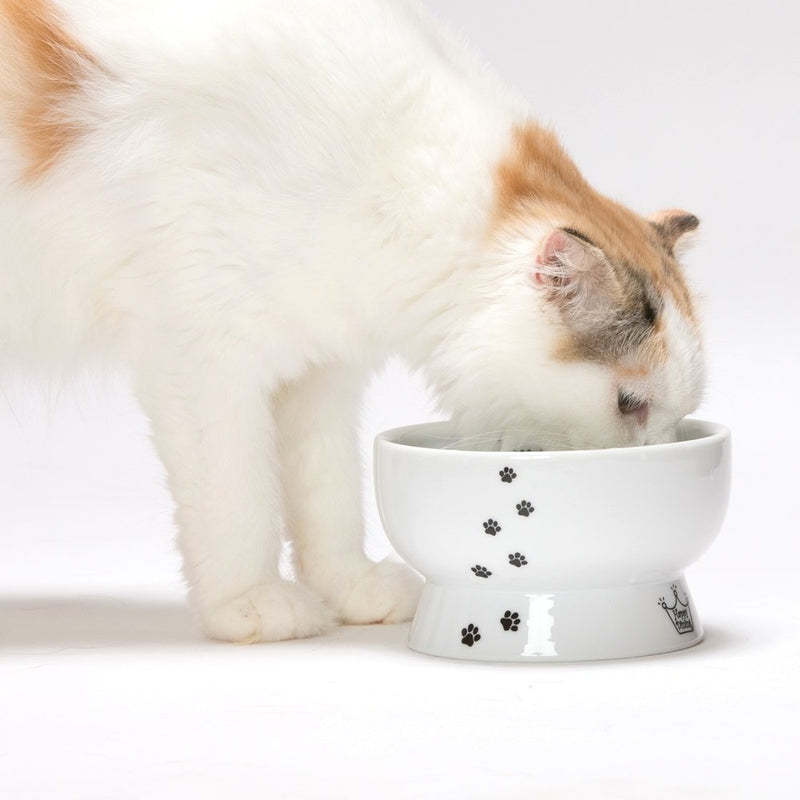 [Australia] - Necoichi Raised Cat Food and Water Bowl Set (Cat) 