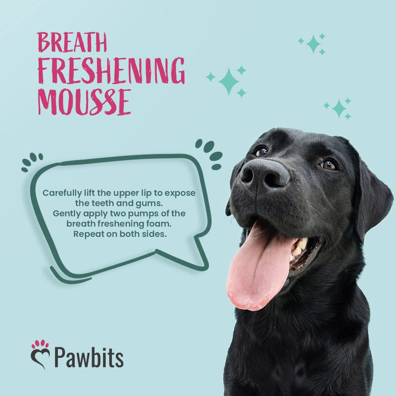 Dog Breath Freshener Mousse - Dogs Dental Foam Supports Healthy Gums & Teeth Eliminate Bad Breath, Tartar, and Plaque Buildup with Dog Mouthwash - Fresh Breath & Safe Oral Hygiene for Your Pet - PawsPlanet Australia