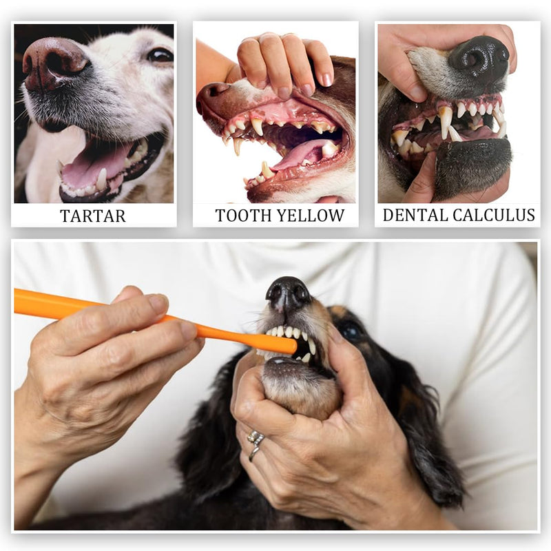 PLKSEI Pack of 6 dog toothbrushes, dog toothbrushes, dog toothbrushes for small dogs, toothbrushes for dogs with double-headed toothbrushes for cats, for dental care for pets - PawsPlanet Australia